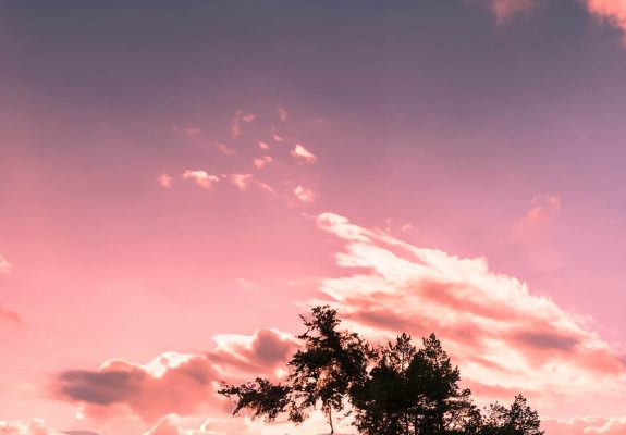 Smart Talk with Machine Tool Partners Takes Flight 2